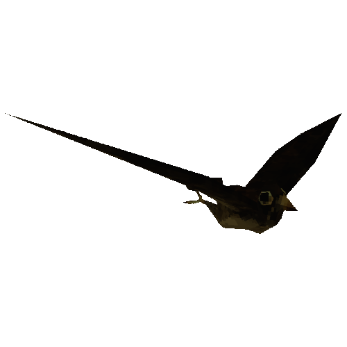 Hawk Fly.png